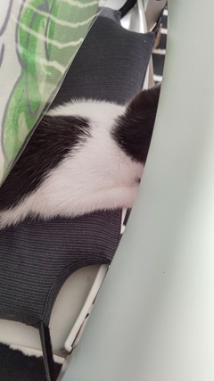 訂正