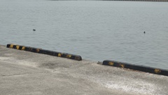 耳を釣られた場所