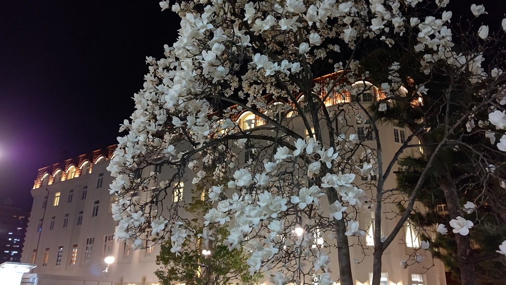 ギャップ萌え中