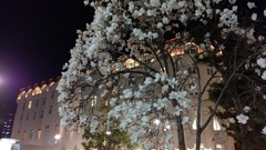 ギャップ萌え中