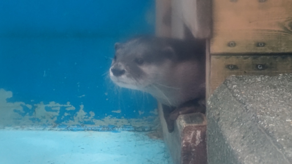 待ち時間