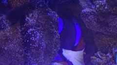 さらに奥