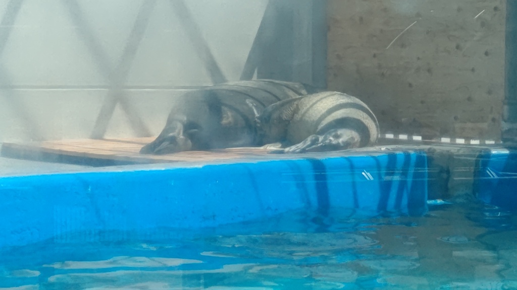 授乳中