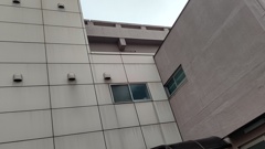 大好き