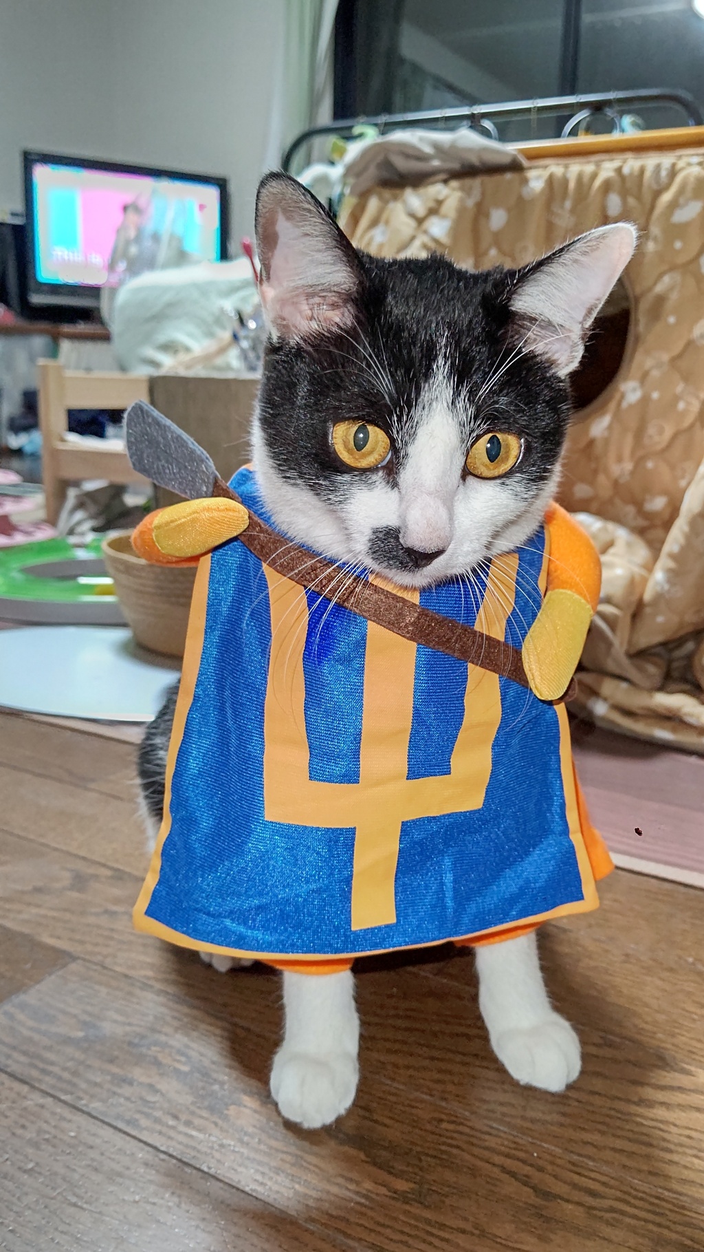 賢者ミュウ