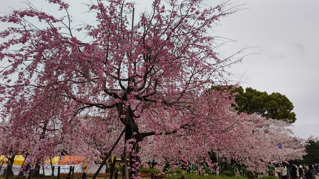 鶴舞公園