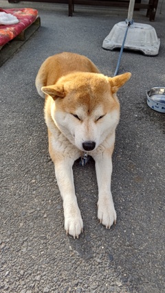 ワンチューバー