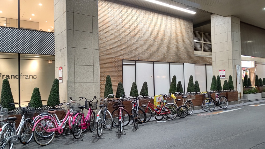 森からの寄り道