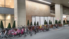 森からの寄り道