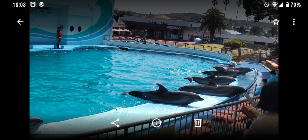 微妙に１頭が…