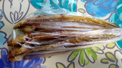 できたてホヤホヤ