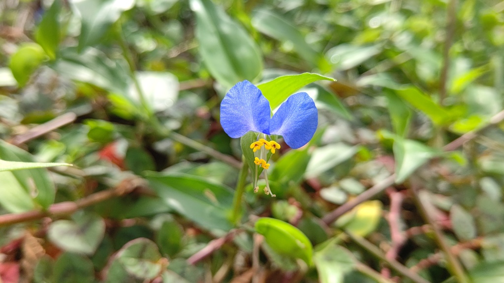 永遠に