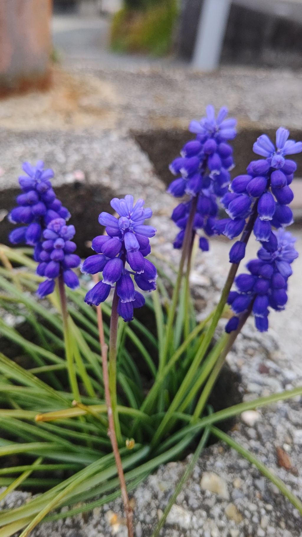 今もしあわせです