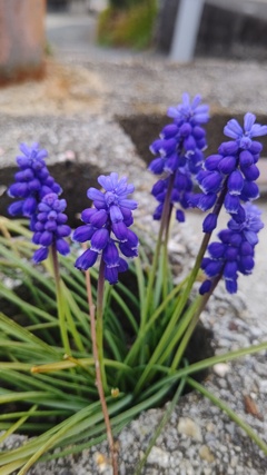 今もしあわせです