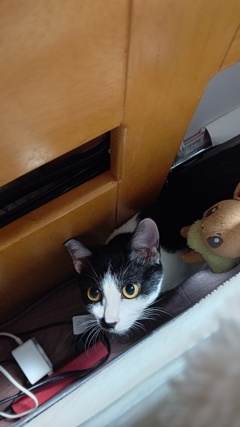 名