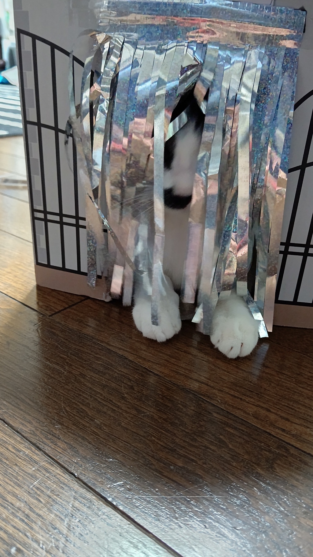 暇だけどね