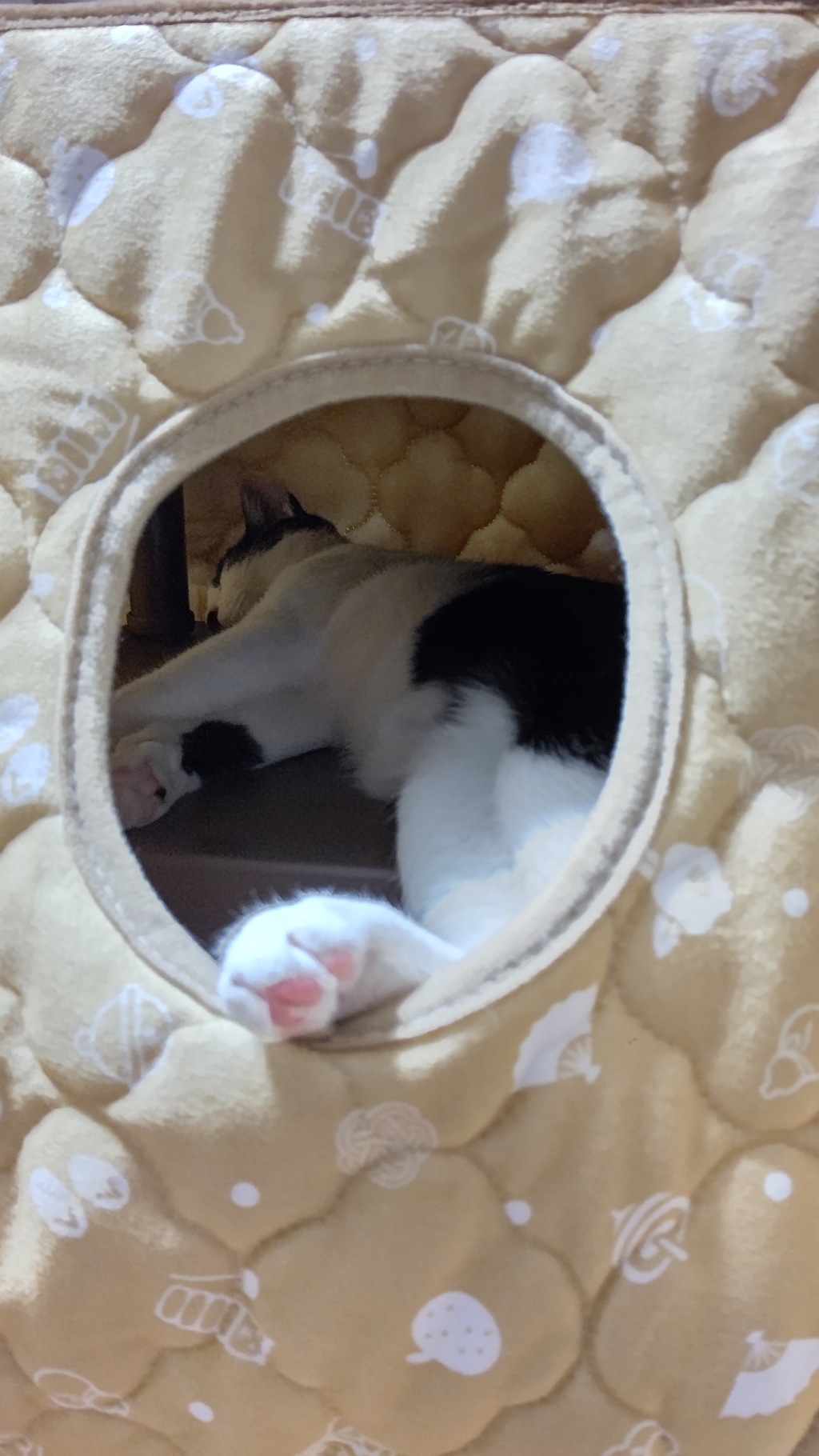 あし