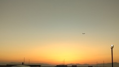 夕焼けと飛行機
