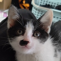ミュー