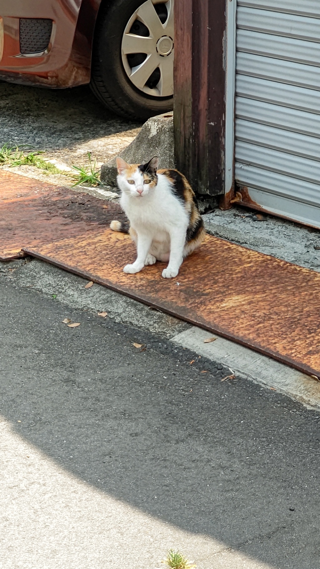 いざ行かん