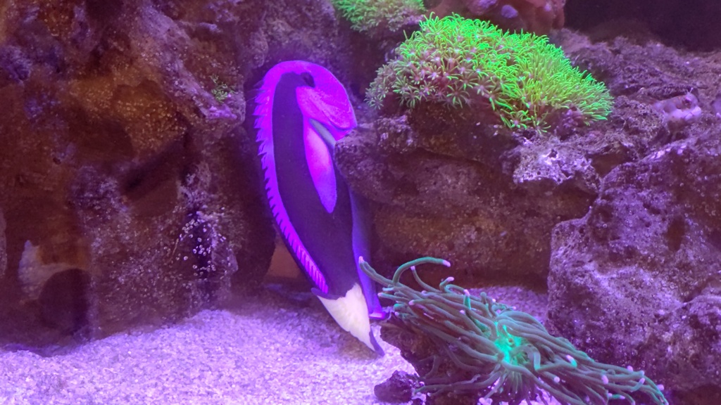 隠れ上手②