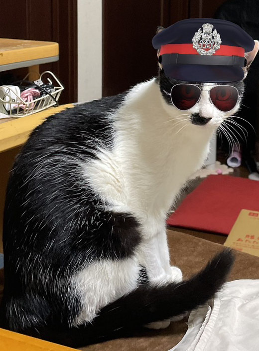 西部警察