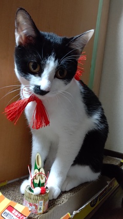 謹賀新年