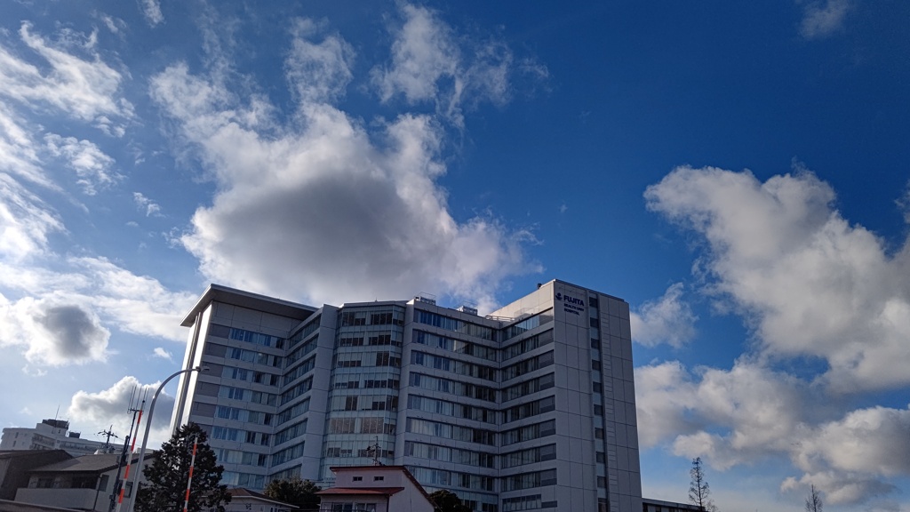 fujita_hospital