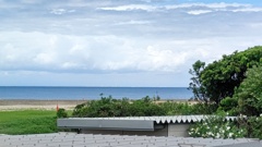 海