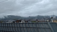 真っ白