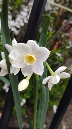 おめでとう！おつかれ！