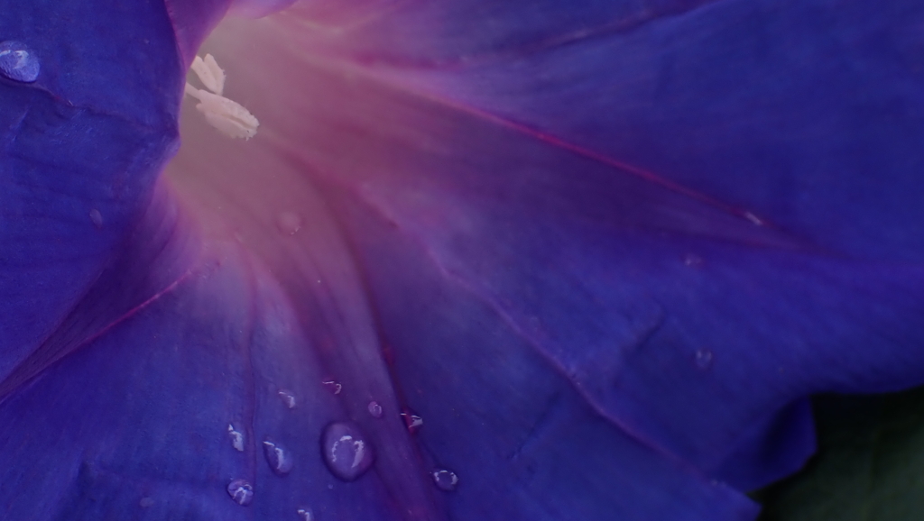 1000008158雨あそび～2