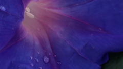 1000008158雨あそび～2