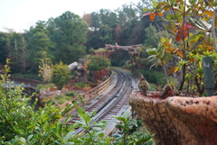 ディズニーランド