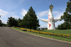 Digital Playback Canon AE-1 013