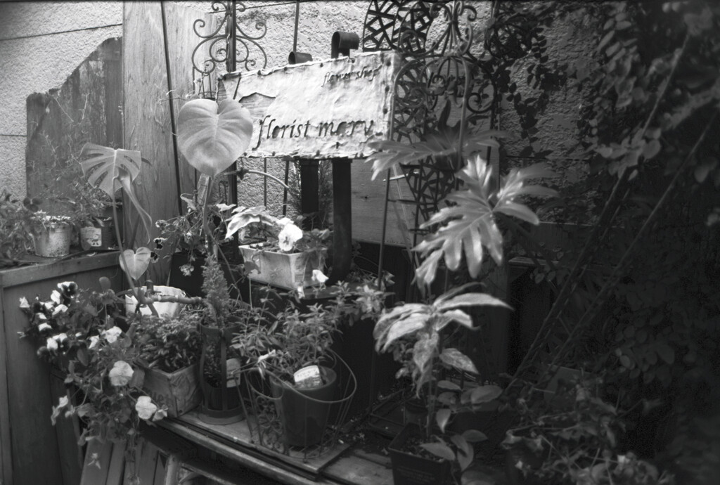 連写一眼 Canon AE-1 060