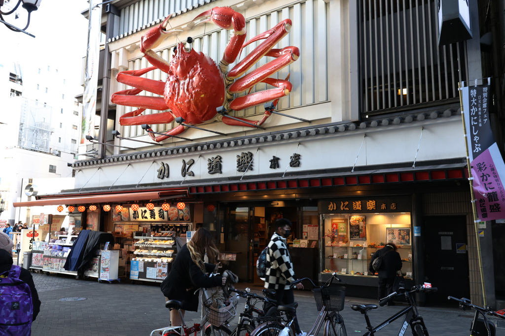 Digital Playback Nikon F 017