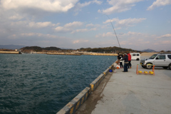 実録 熊野古道 紀伊路を往く 0047