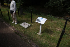 Digital Playback Canon AE-1 016