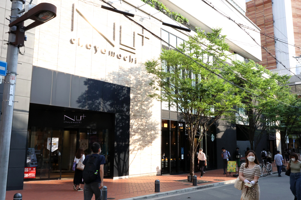 Digital Playback Canon AE-1 065