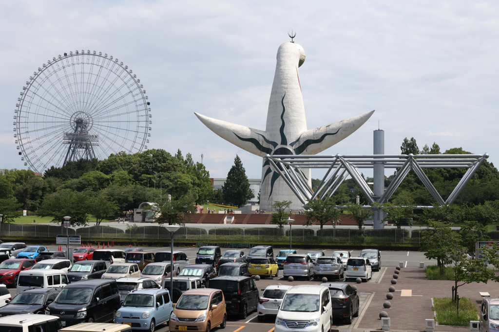 Digital Playback Canon AE-1 006