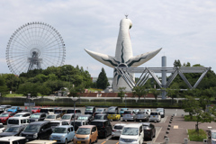 Digital Playback Canon AE-1 006