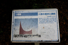 Digital Playback Canon AE-1 018