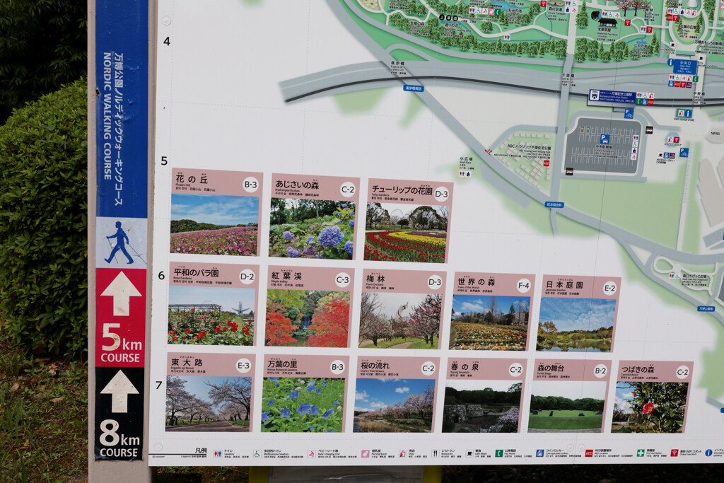 Digital Playback Canon AE-1 020