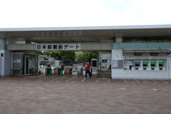 Digital Playback Canon AE-1 001