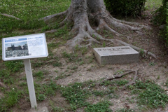 Digital Playback Canon AE-1 032