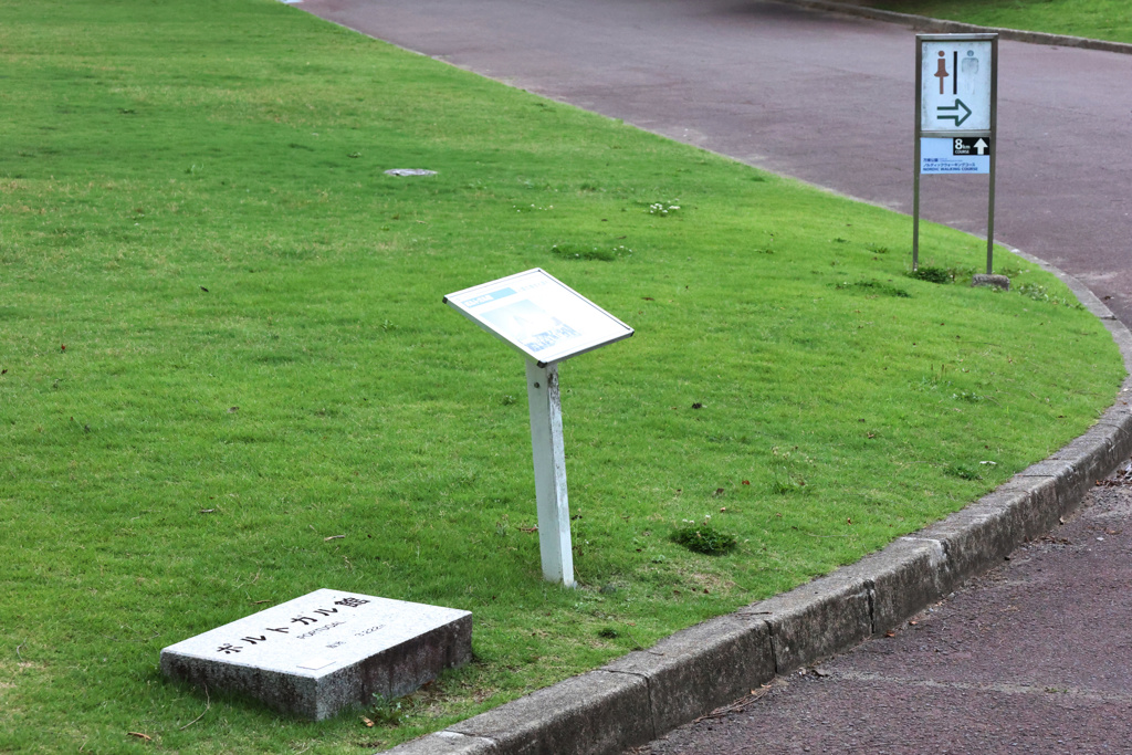 Digital Playback Canon AE-1 033