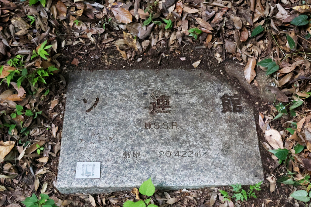 Digital Playback Canon AE-1 017