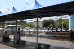 Digital Playback Canon AE-1 010