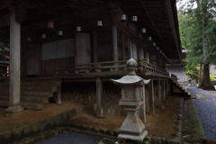 実録 熊野古道 紀伊路を往く 0323